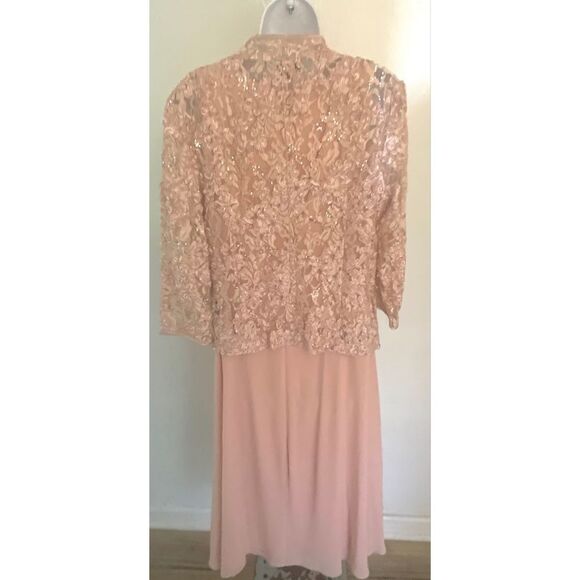 Jessica Howard 3/4 Sleeve Scoop Neck Soutache Mesh 2-Piece  Dress Blush SZ14 NEW - Picture 2 of 13